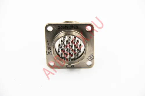 2РМГ24Б19Ш1Е2 фото 2