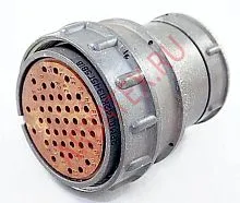 2РМДТ42КПЭ45Г5В1ВЛ розетка фото