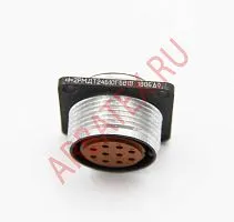 2РМДТ24Б10Г5В1В розетка блочная фото